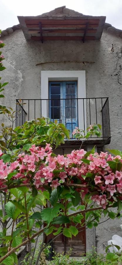 Ca Betulla Villa Novate Mezzola Bagian luar foto