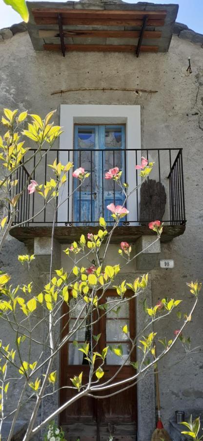 Ca Betulla Villa Novate Mezzola Bagian luar foto