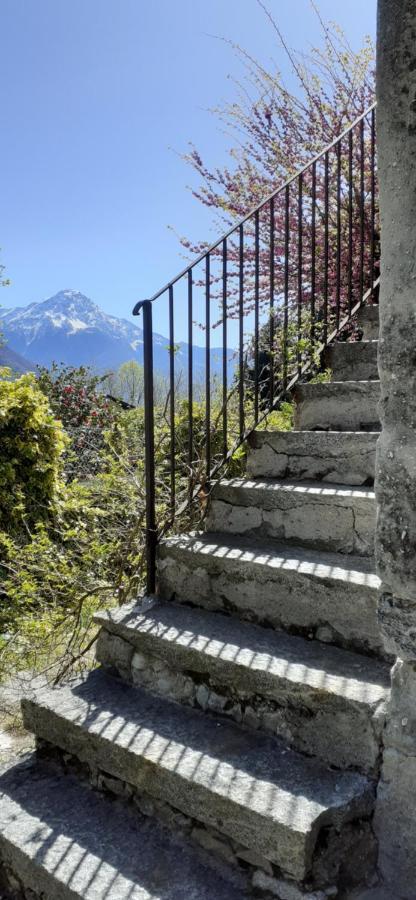 Ca Betulla Villa Novate Mezzola Bagian luar foto
