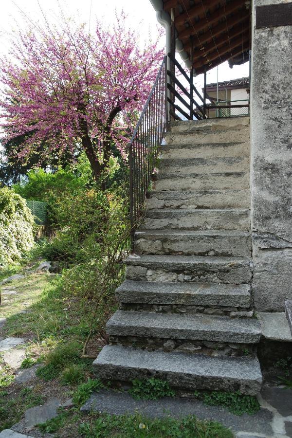 Ca Betulla Villa Novate Mezzola Bagian luar foto