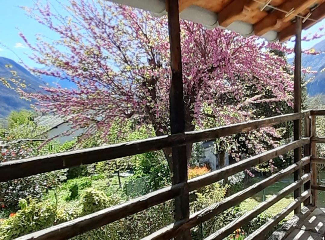 Ca Betulla Villa Novate Mezzola Bagian luar foto