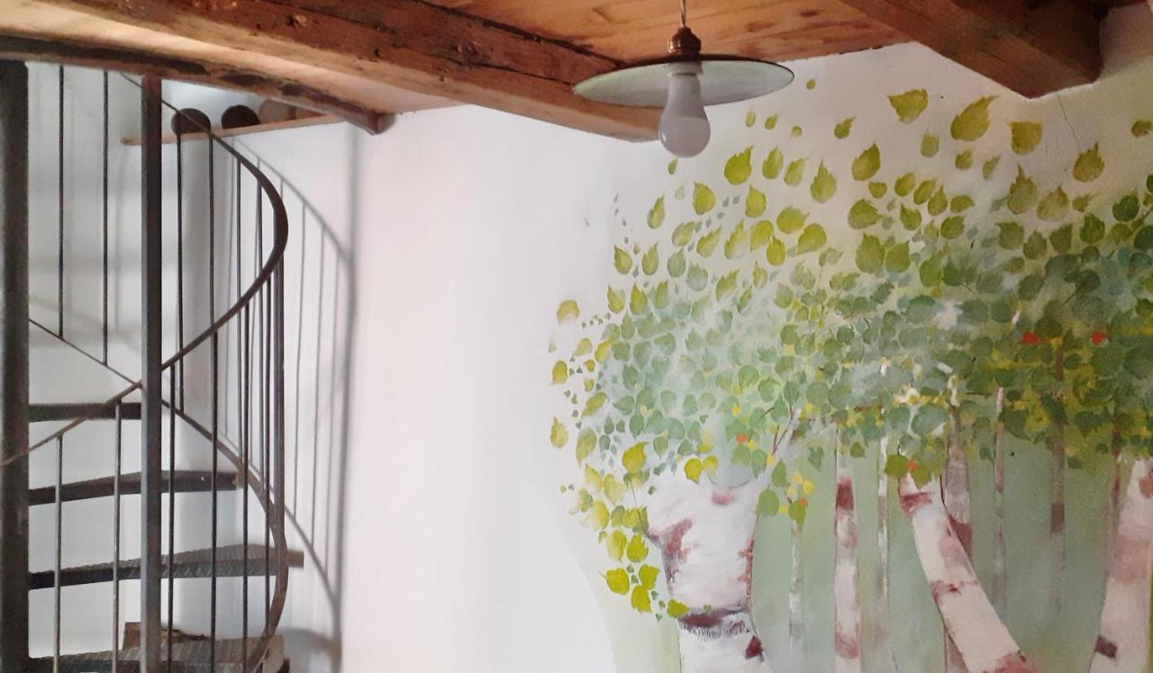 Ca Betulla Villa Novate Mezzola Bagian luar foto