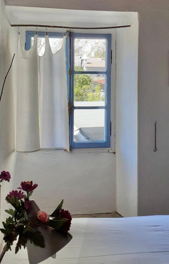 Ca Betulla Villa Novate Mezzola Bagian luar foto